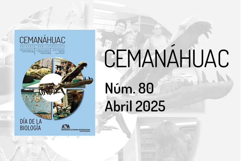 Cemanáhuac número 80